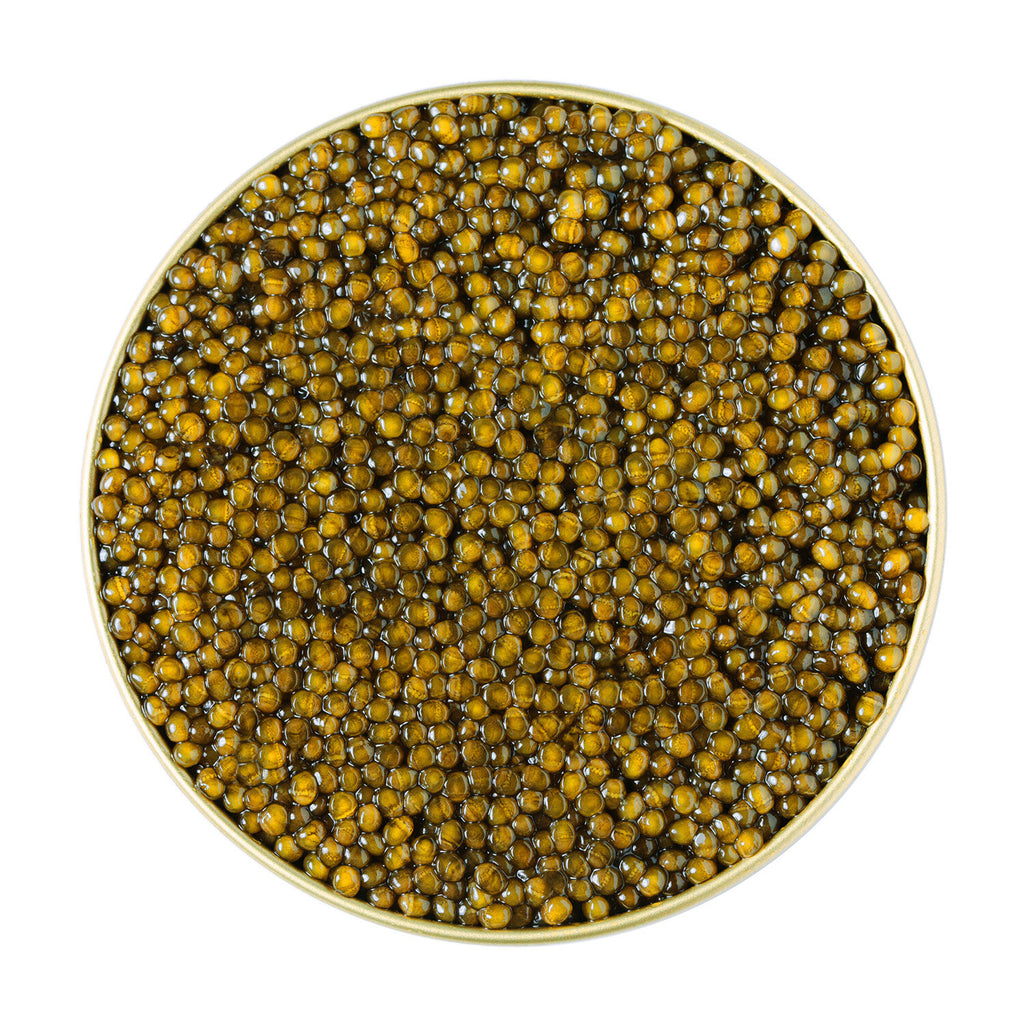 Regiis Ova - Golden Kaluga Hybrid Caviar - 50g