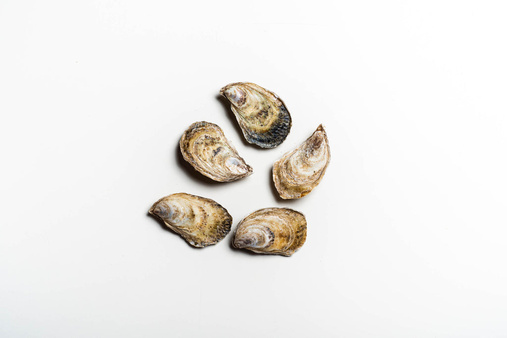 Oysters: Beau Soleil - per dozen