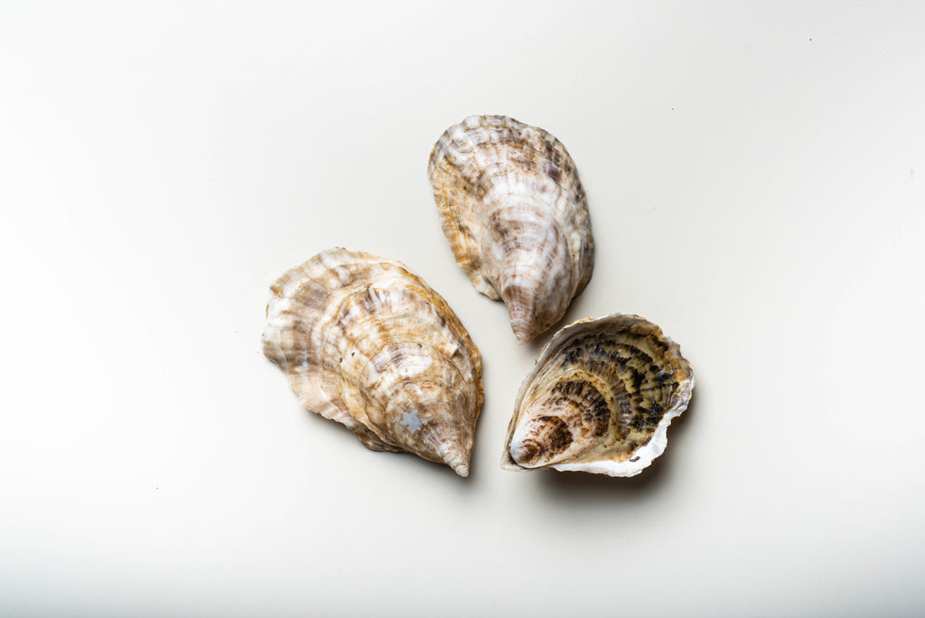 Oysters : Mere Point - per dozen