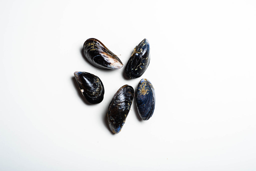 Black Mussels (WA) - 1 lb